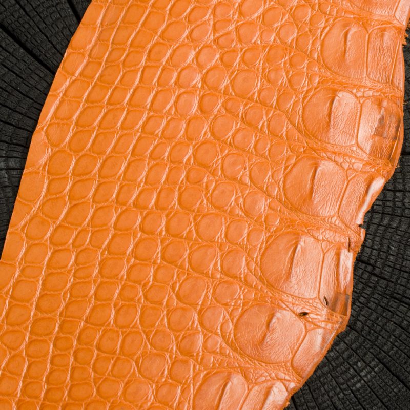 Skóra aligatora na pasek do zegarka - Pomarańcz